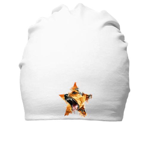 Бавовняна шапка пес-зірка