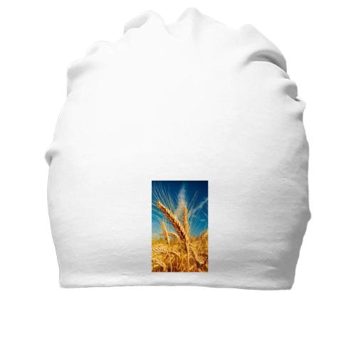 Хлопковая шапка Колоски в поле