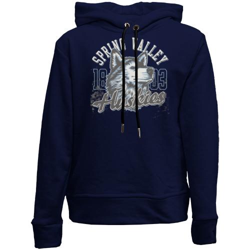 Дитячій худі без флісу spring valley huskies