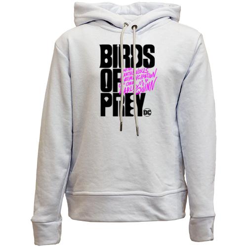 Детский худи без флиса Birds of Prey DC