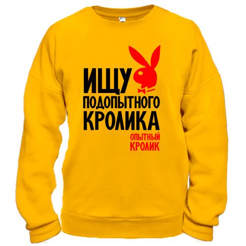 Свитшот ищу подопытного кролика