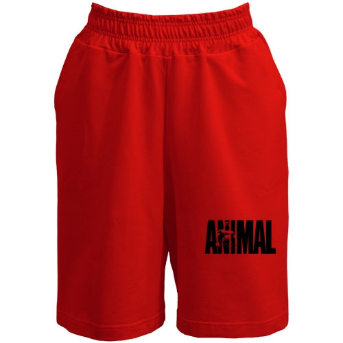 Шорти Animal
