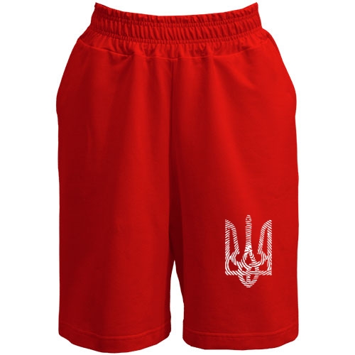 Шорты 