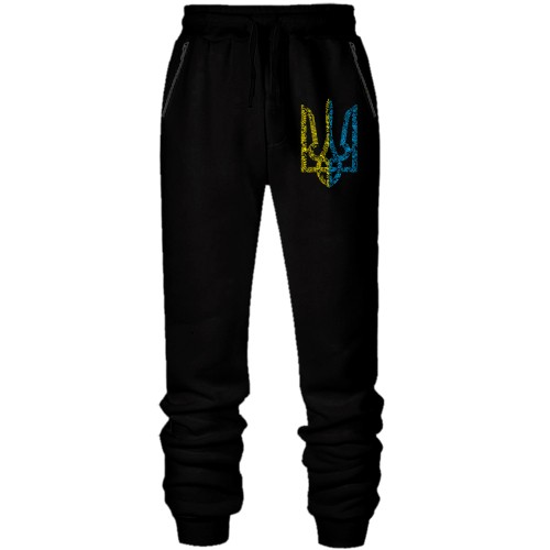 Штани з футера без начісу з жовто-блакитним гербом України