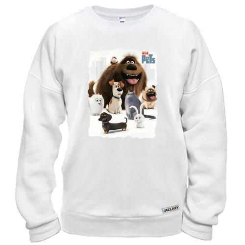 Світшот Секрети домашніх тварин