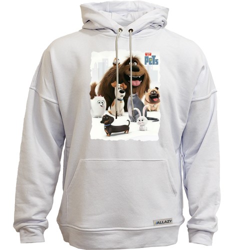 Худи без начісу Секрети домашніх тварин