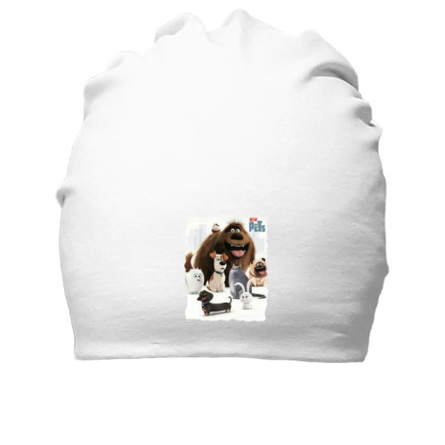 Бавовняна шапка Секрети домашніх тварин