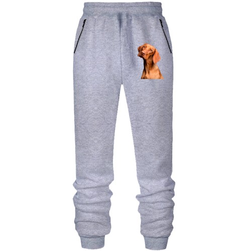 Штаны из футера без начеса с гончей собакой