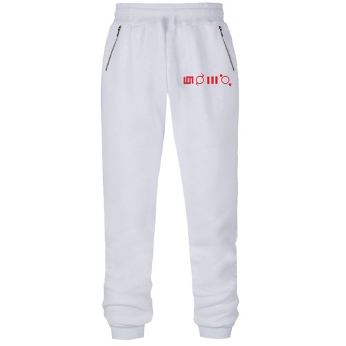 Штани з футера без начісу 30 seconds to mars 4