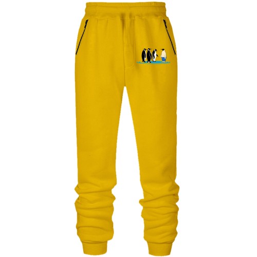 Штани з футера без начісу Особливий!