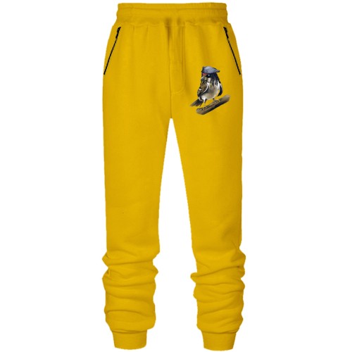 Штани з футера без начісу з папугою-піратом