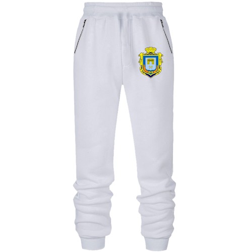 Штани з футера без начісу з гербом Херсона