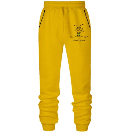 Штани з футера без начісу Опаньки