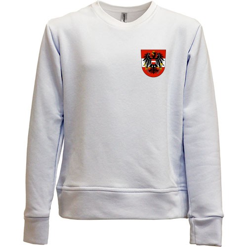 Дитячий світшот без начісу Збірна Австріїї