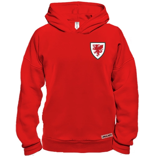 Худи BASE Сборная Уэльса по футболу