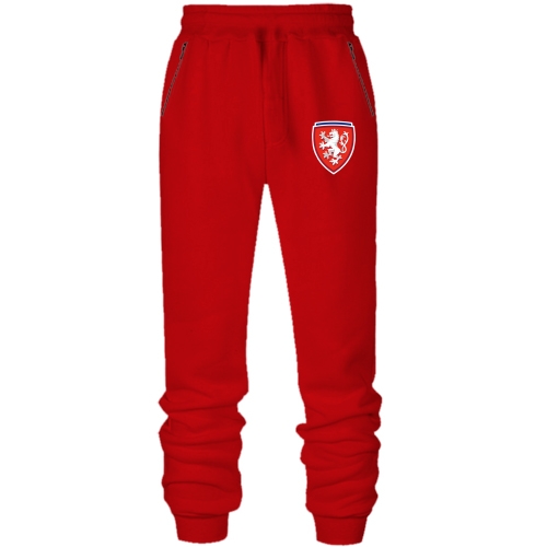 Штани з футера без начісу Збірна Чехії по футболу (2)