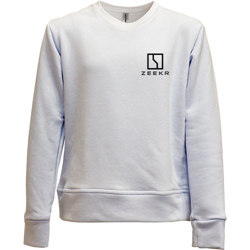 Детский свитшот без начеса Zeekr