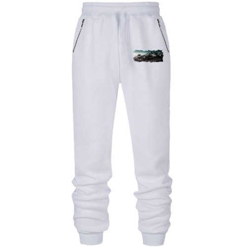 Штаны Mercedes F1