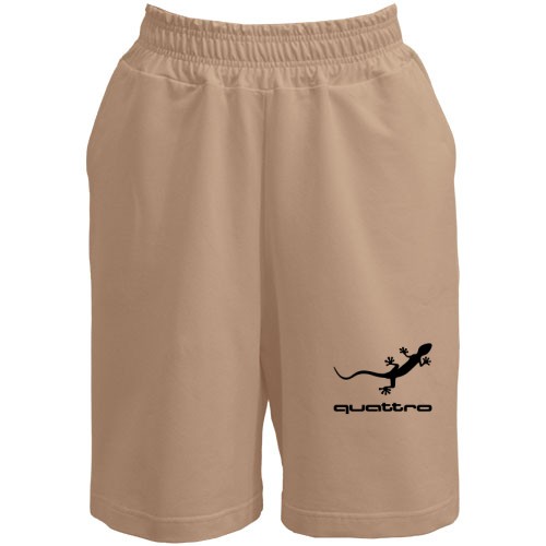 Шорти Audi Quattro