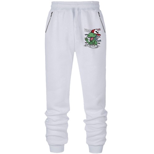 Штаны из футера без начеса Динозавр-диджей (2)