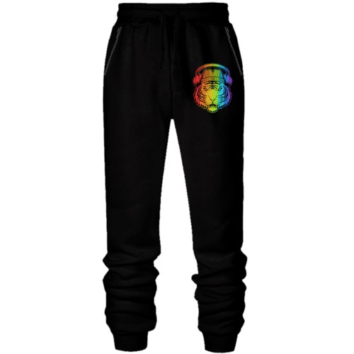 Штаны из футера без начеса Rainbow Tiger