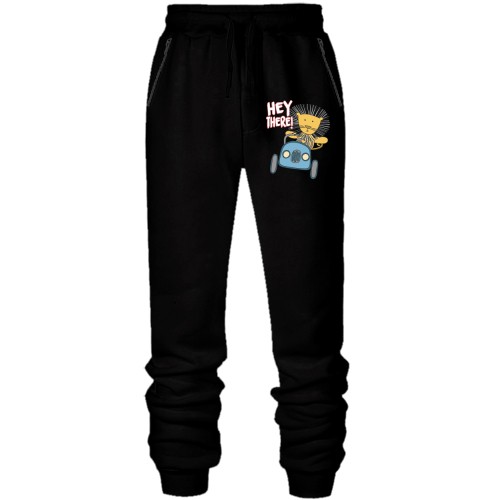 Штаны из футера без начеса лев на авто