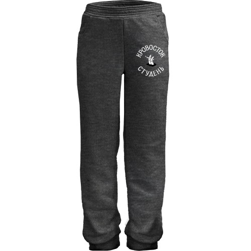 Детские штаны Кровосток - Студень