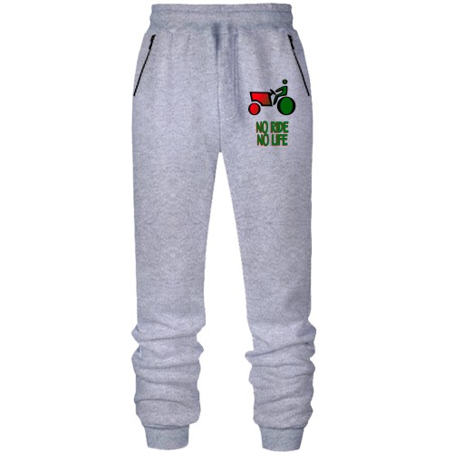 Штаны из футера без начеса No ride no life