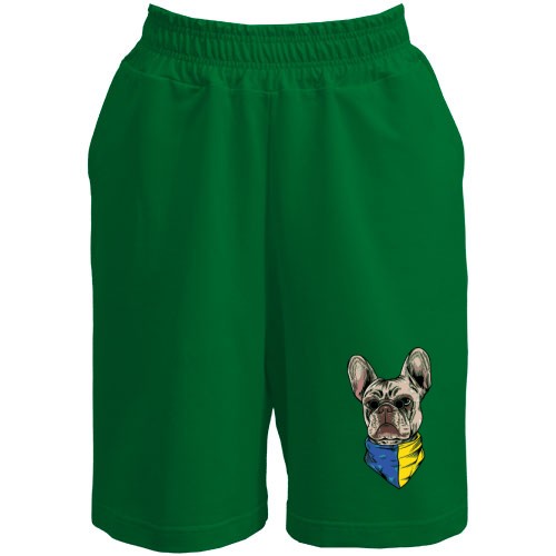 Шорты с Французским бульдогом 
