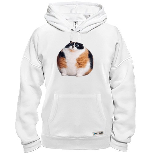 Худі Котість