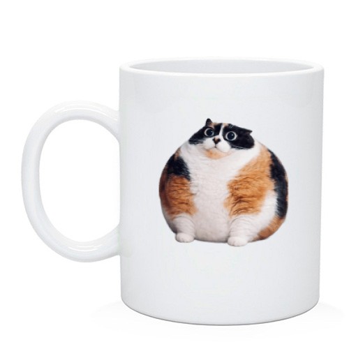 Чашка Котость