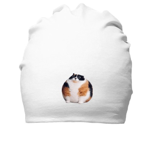 Хлопковая шапка Котость