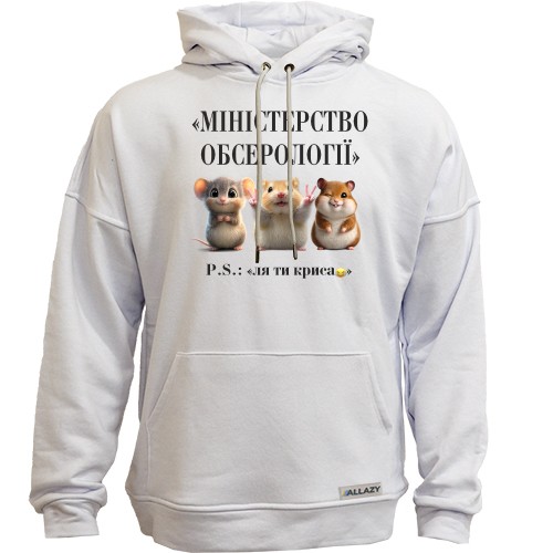 Худи без начеса Министерство Обсерологии