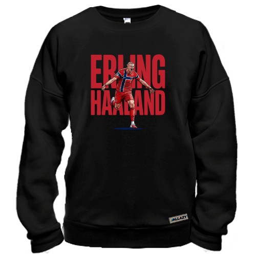 Світшот Erling Haaland (2)