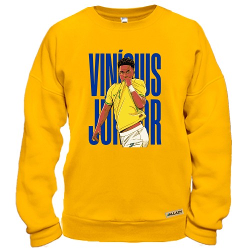 Свитшот Vinicius Junior