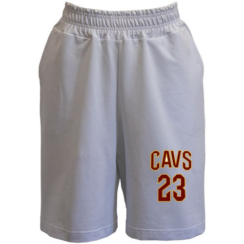 Чоловічі шорти Cleveland Cavaliers LeBron James
