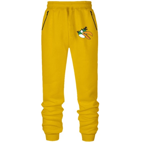 Мужские трикотажные штаны Green bird