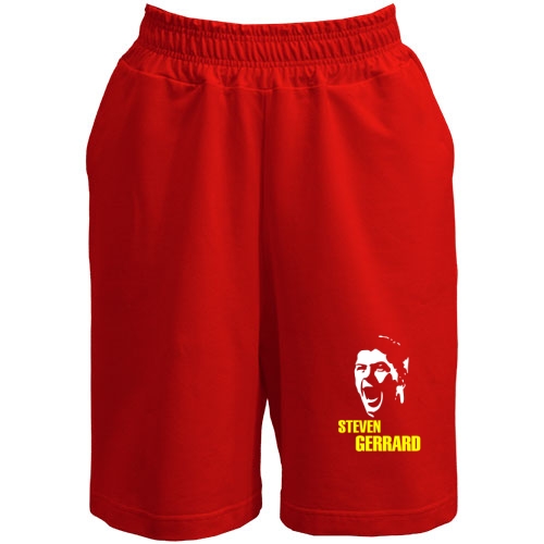 Шорты Gerrard силуэт