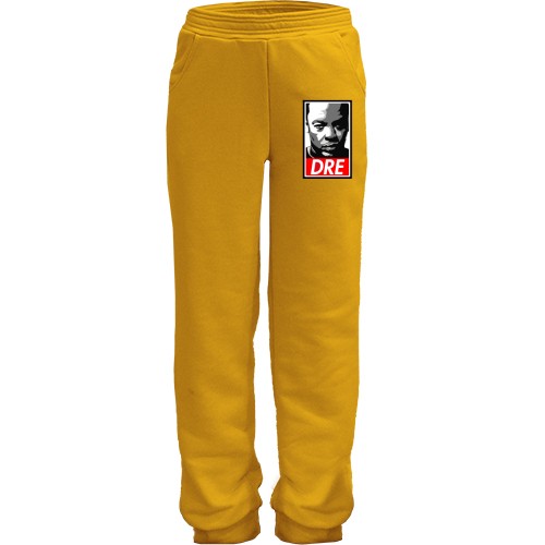 Детские штаны с Dr Dre