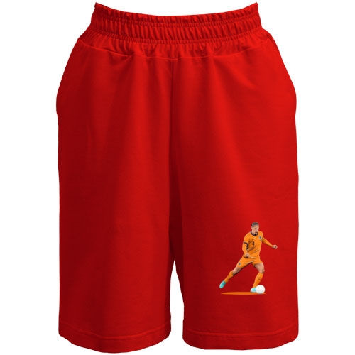 Мужские шорты Virgil Van Dijk (2)