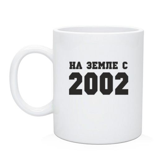 Чашка На земле с 2002