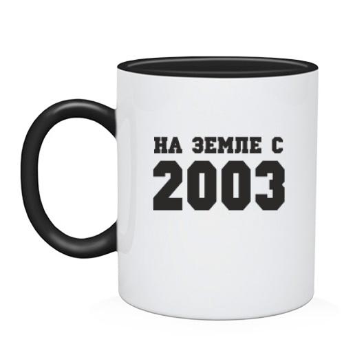 Чашка На земле с 2003