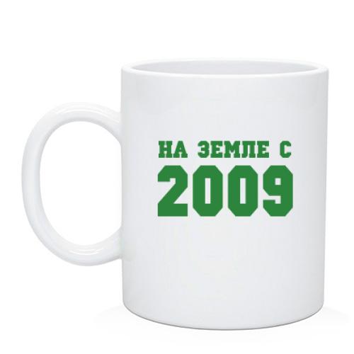 Чашка На земле с 2009