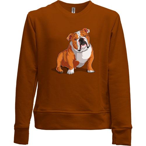 Детский свитшот без начеса c Английский бульдогом