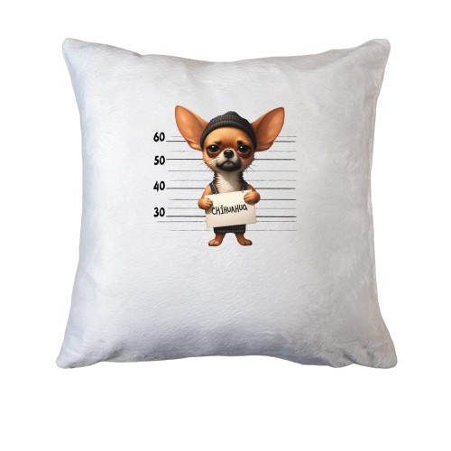 Подушка Чихуахуа бандит