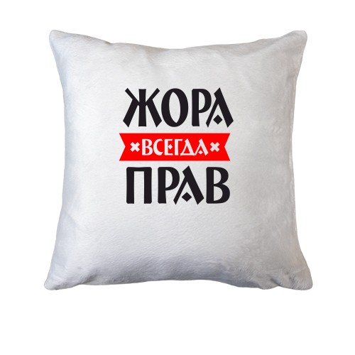 Подушка Жора всегда прав