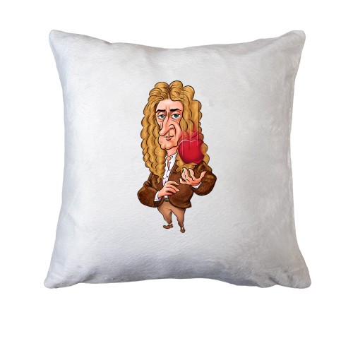 Подушка Исаак Ньютон