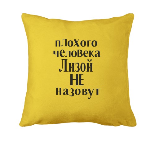 Подушка Лизой не назовут (2)