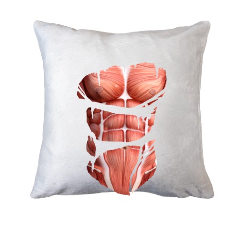 Подушка Мышцы