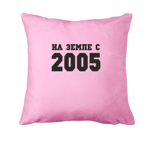Подушка На земле с 2005